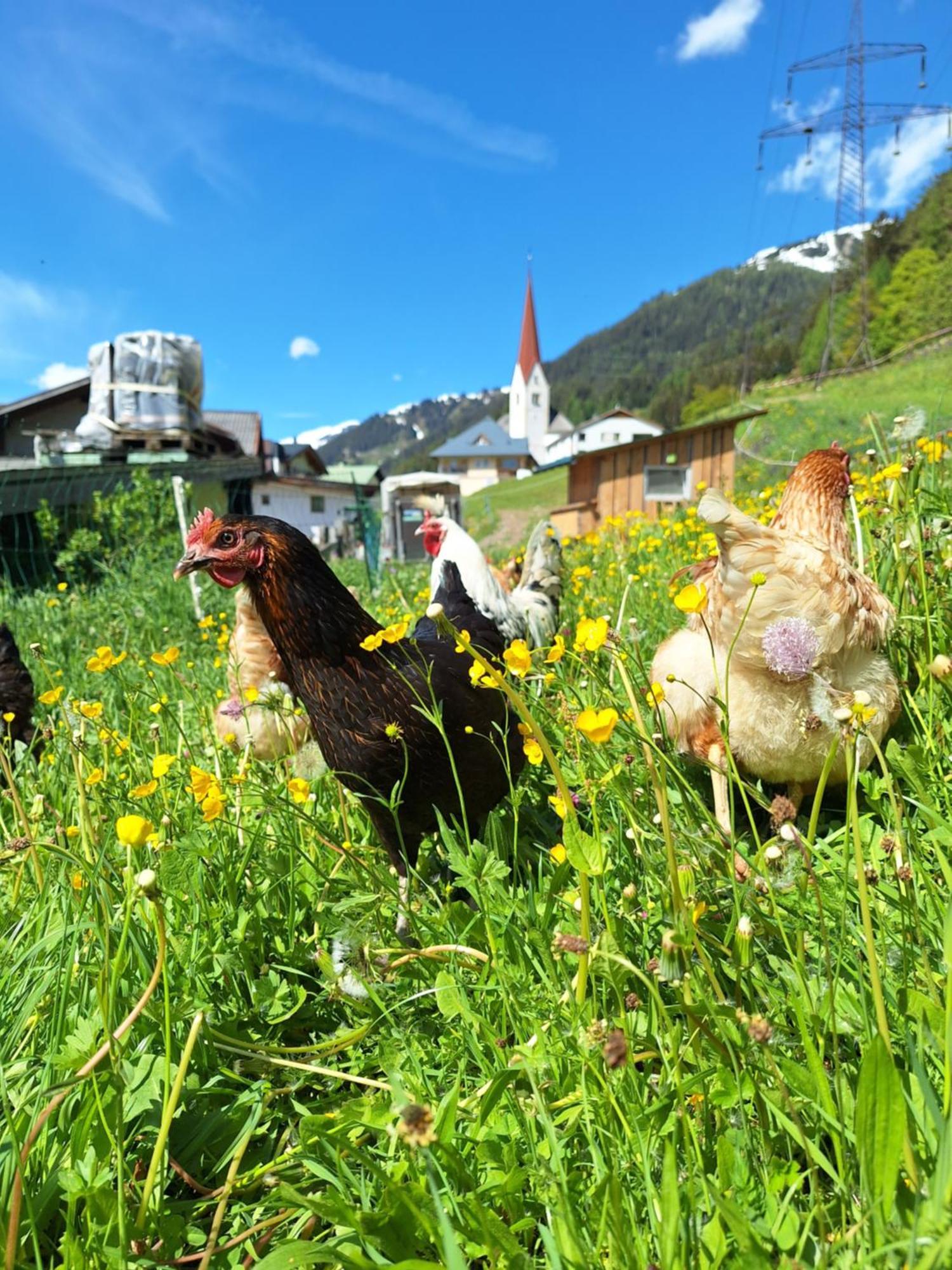 Gsoerhof Apartamento Sankt Anton am Arlberg Exterior foto