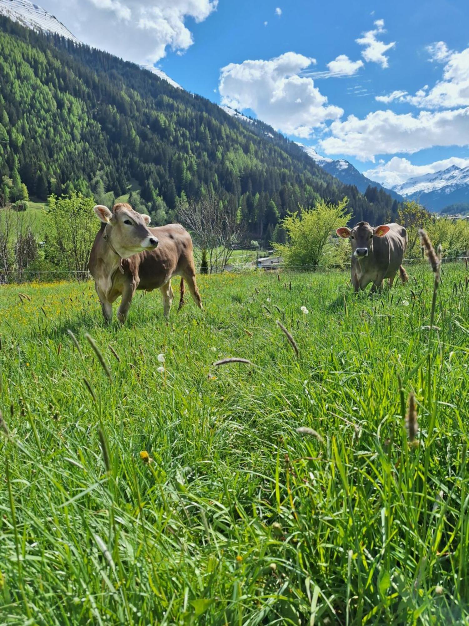 Gsoerhof Apartamento Sankt Anton am Arlberg Exterior foto