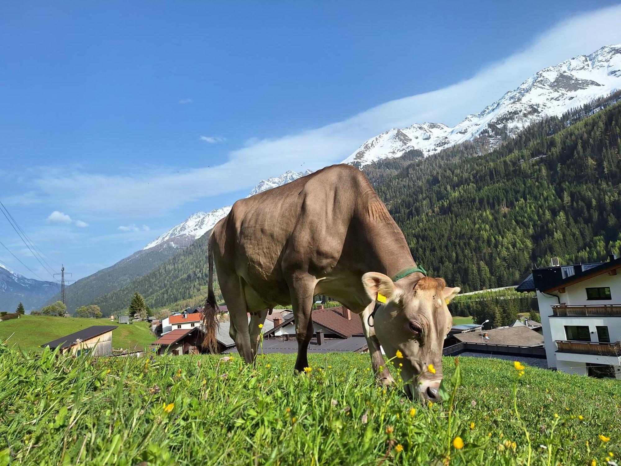Gsoerhof Apartamento Sankt Anton am Arlberg Exterior foto